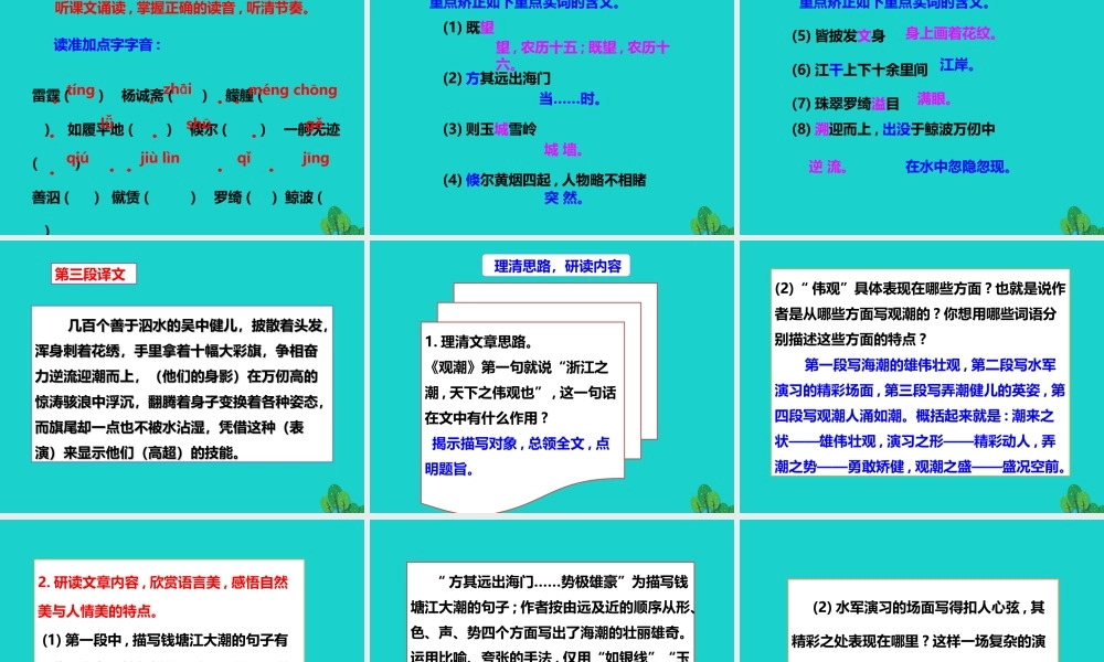 秋八年级语文上册 第六单元 第28课(观潮)课件 新人教版 090514 090514