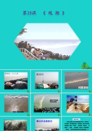 秋八年级语文上册 第六单元 第28课(观潮)课件 新人教版 090514 090514