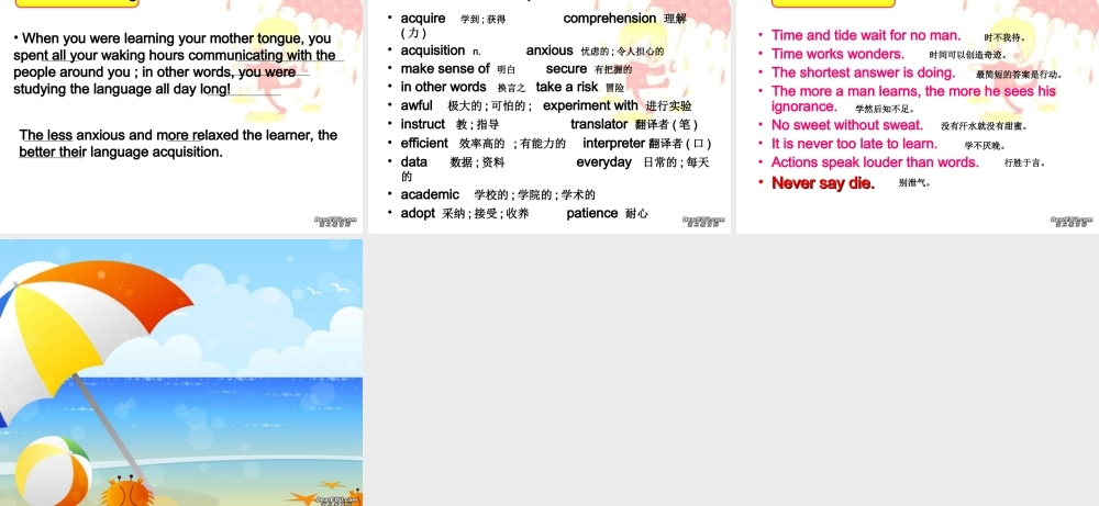 高三英语Unit8 Learnig a foreing language 新课标 人教版 课件