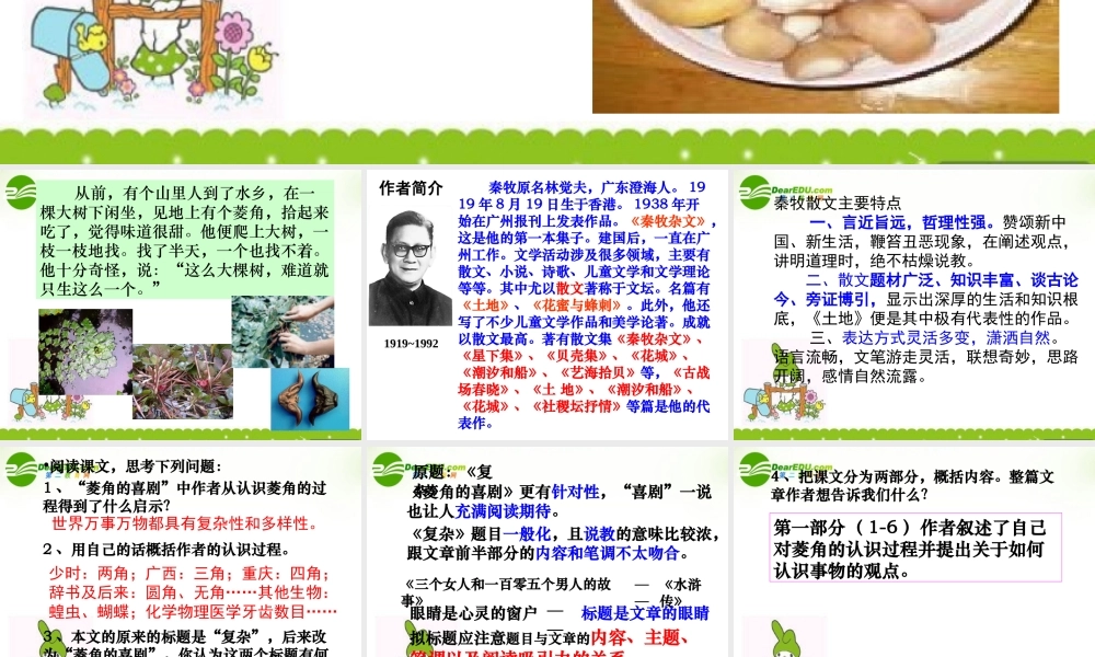 高中语文(菱角的喜剧)课件 粤教版 课件