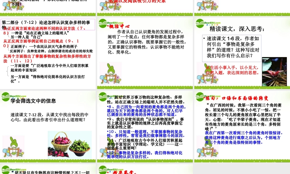 高中语文(菱角的喜剧)课件 粤教版 课件