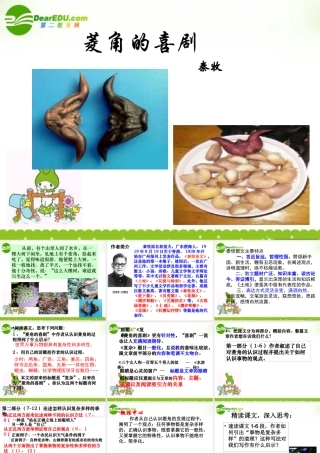 高中语文(菱角的喜剧)课件 粤教版 课件