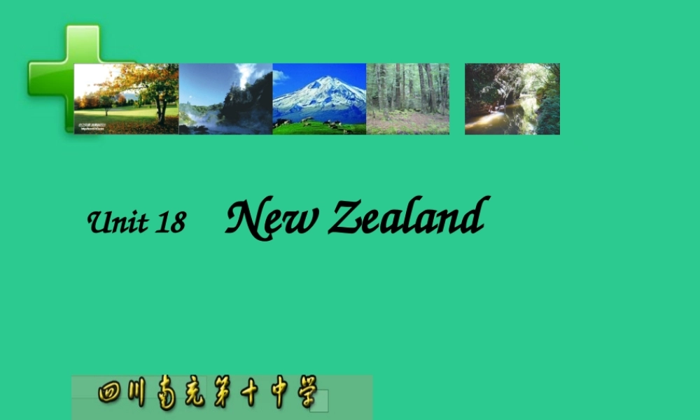 高一英语下册Unit18 New Zealand阅读课件 新课标 人教版 课件