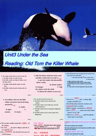 高二英语Unit3 language points 人教版 课件