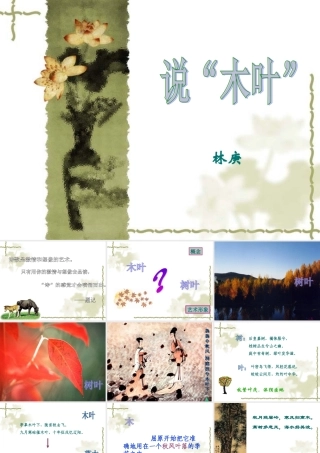 高中语文必修5说 木叶 3ppt 课件