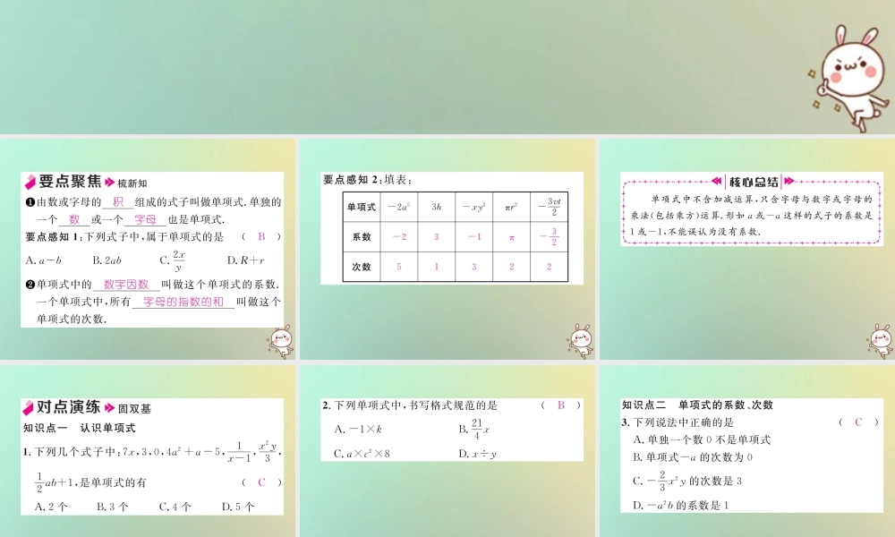 秋七年级数学上册 第二章 整式的加减 2.1 整式 第2课时 单项式习题课件 (新版)新人教版 课件