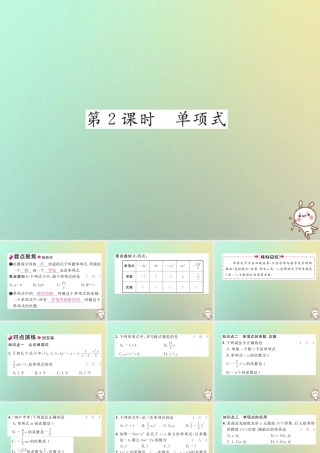 秋七年级数学上册 第二章 整式的加减 2.1 整式 第2课时 单项式习题课件 (新版)新人教版 课件