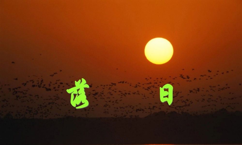 高中语文：(落日)(苏教版必修2)课件之一 课件