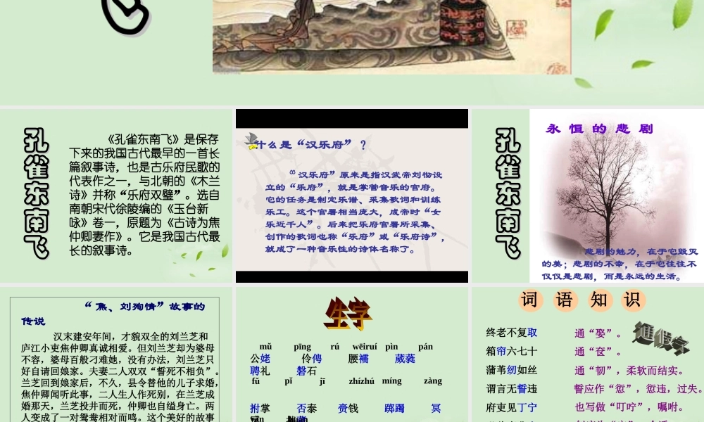 高中语文 第7课(孔雀东南飞)经典课件 新人教版必修2 课件