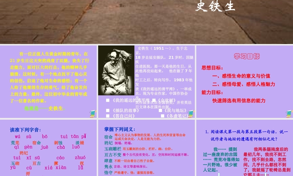 高中语文第一专题我与地坛课件2苏教版必修2 课件