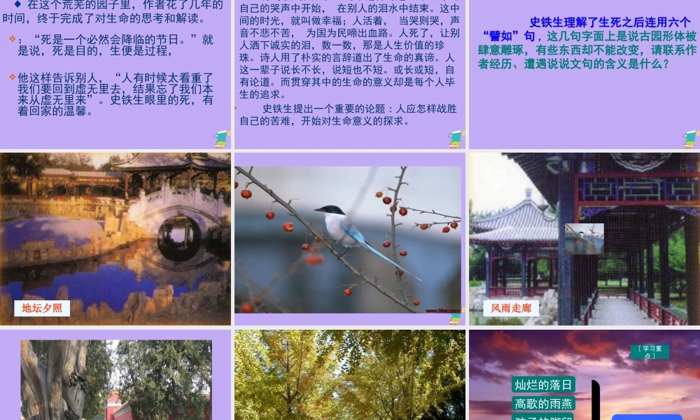 高中语文第一专题我与地坛课件2苏教版必修2 课件