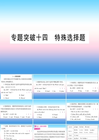 甘肃省中考英语 第二篇 中考专题突破 第一部分 语法专题 专题突破14 特殊选择题课件 (新版)冀教版 课件