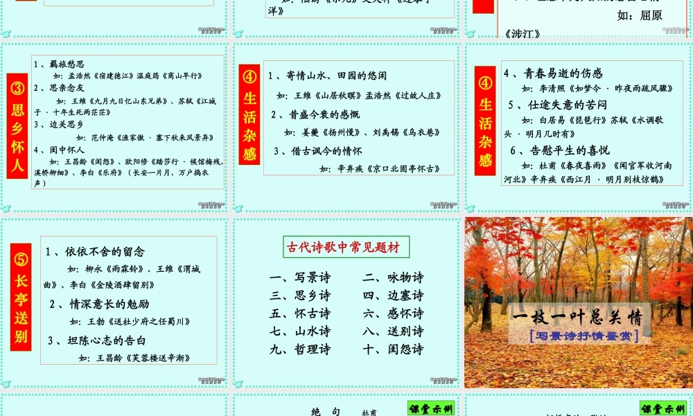 高考语文诗歌的思想内容课件 新课标 人教版 课件