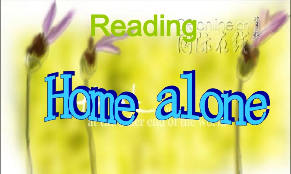 高中英语一模块二单元reading-1课件译林牛津版必修1 课件