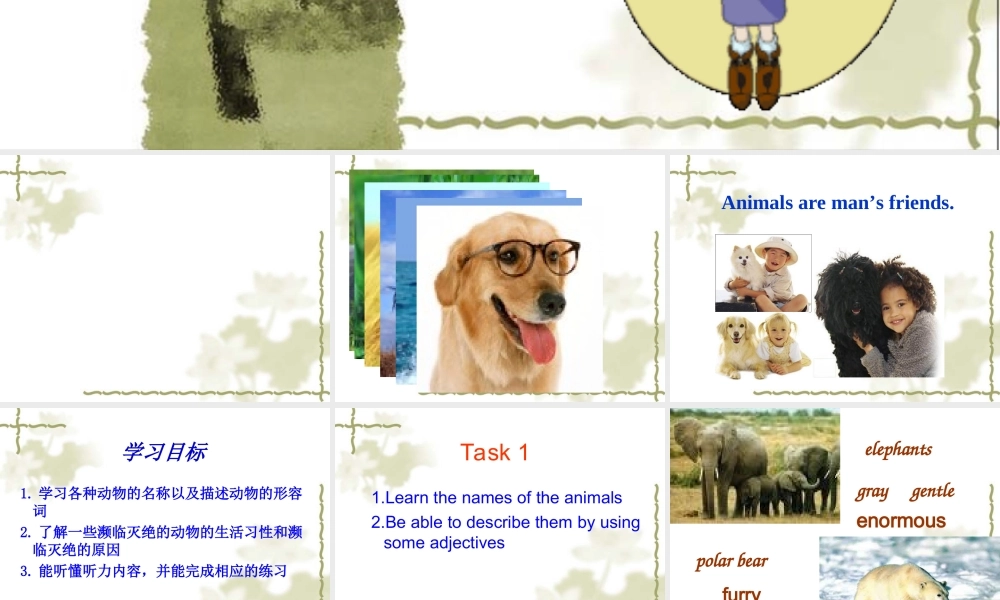 ZXXKCOM2011031121044575387