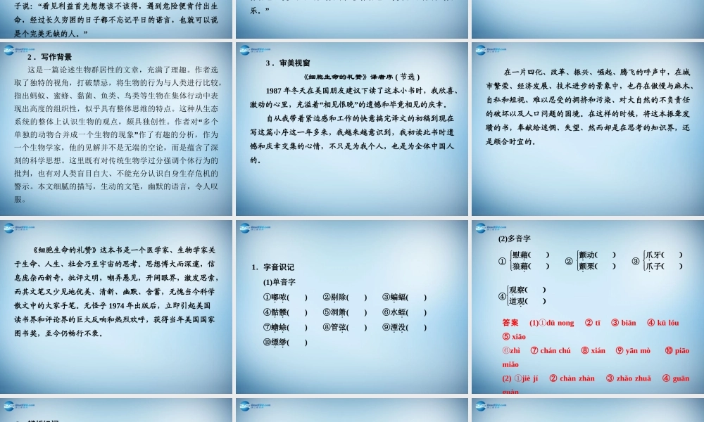 高中语文 2.7 这个世界的音乐课件 粤教版必修3 课件