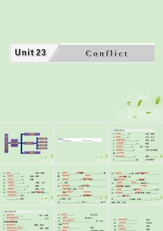 高考英语一轮复习 Unit23 Conflict课件 北师大版选修8 课件