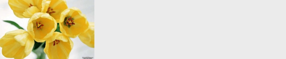 高一数学数列在分期付款中的应用课件1 新课标 人教A版 课件