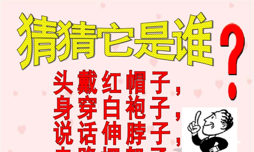 《白鹅》PPT课件谢婷老师
