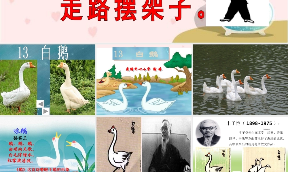 《白鹅》PPT课件谢婷老师
