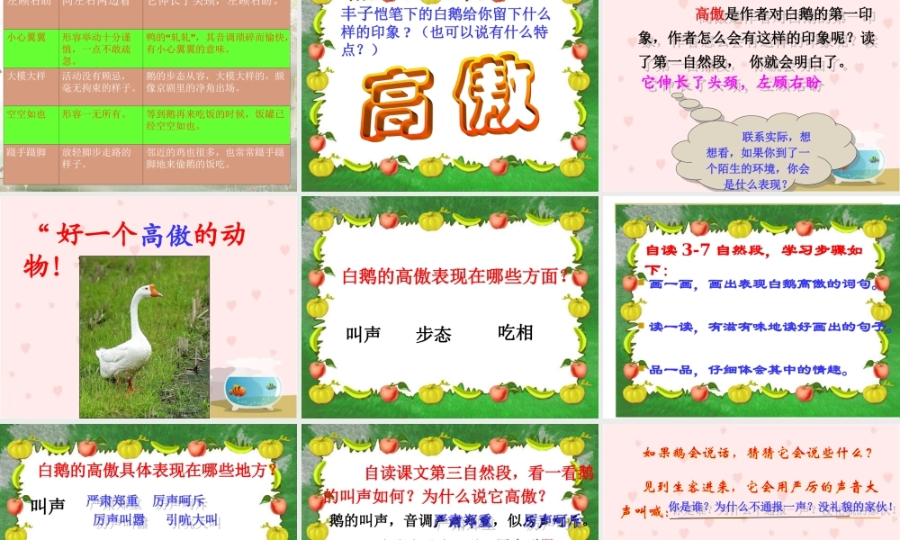 《白鹅》PPT课件谢婷老师