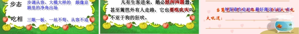 《白鹅》PPT课件谢婷老师