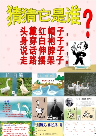 《白鹅》PPT课件谢婷老师