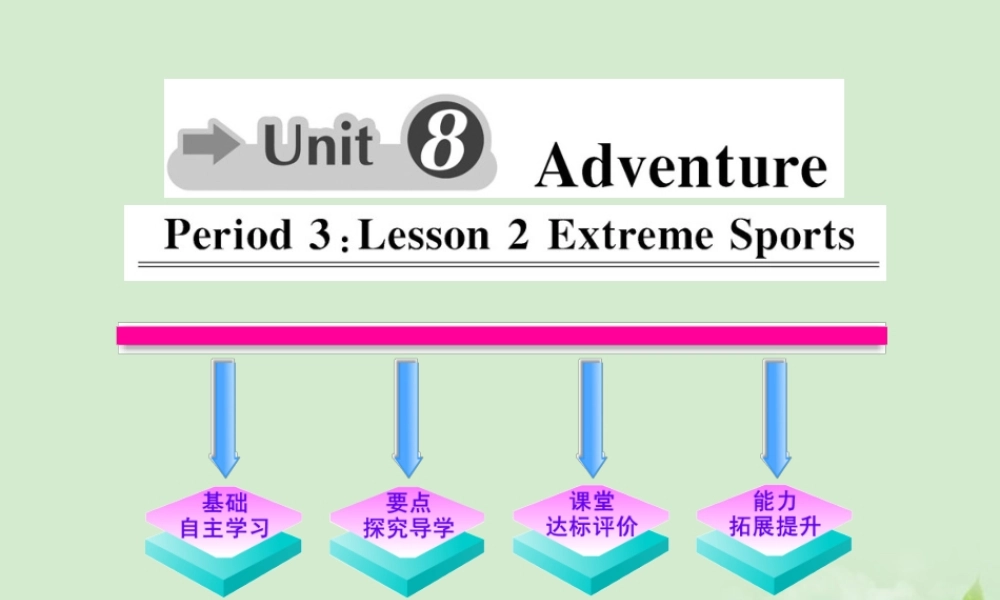 高中英语课时讲练通 Unit8 Adventure Period 3课件 北师大版必修3 课件