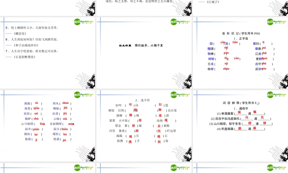 高中语文 9赤壁赋同步课件 必修2 新课标 课件