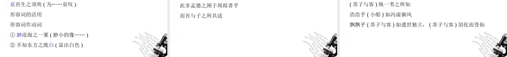 高中语文 9赤壁赋同步课件 必修2 新课标 课件