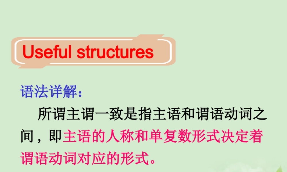 高中英语 语法详解课件