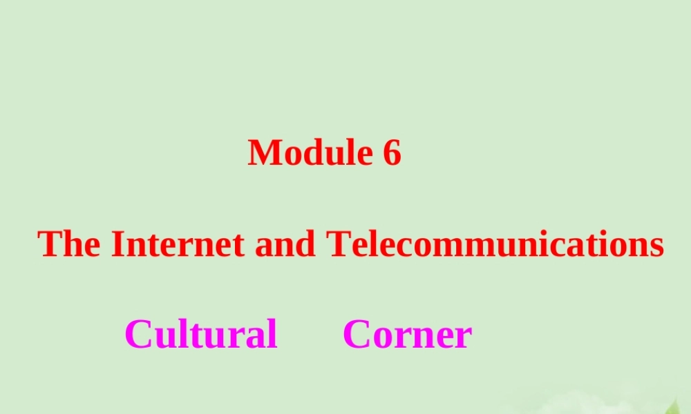 高中英语 Module 6 Corner 课件外研版必修1 课件