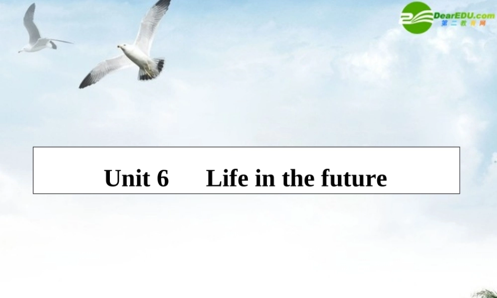 高考英语第一轮总复习经典实用学案 高二册Unit6 学案