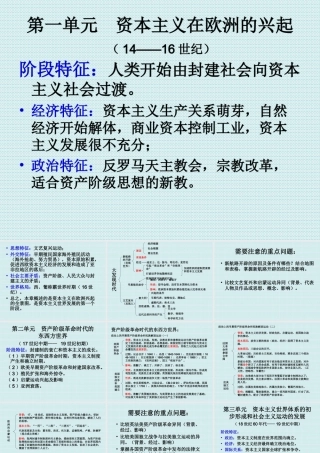 资本主义在欧洲的兴起。