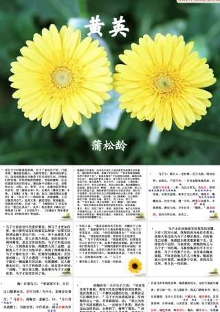 高中语文 (黄英)课件 新人教版选修2 课件