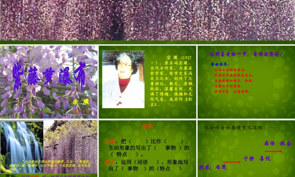 浙江省宁波市慈城中学七年级语文上册 16 紫藤萝瀑布课件 (新版)新人教版