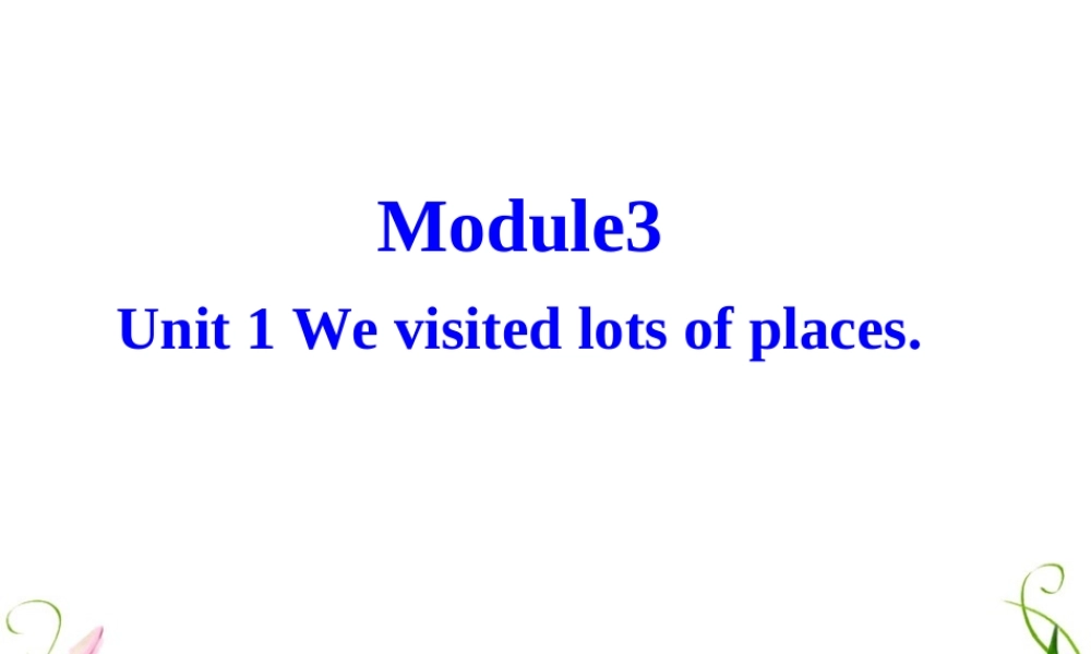 We-visited-lots-of-places