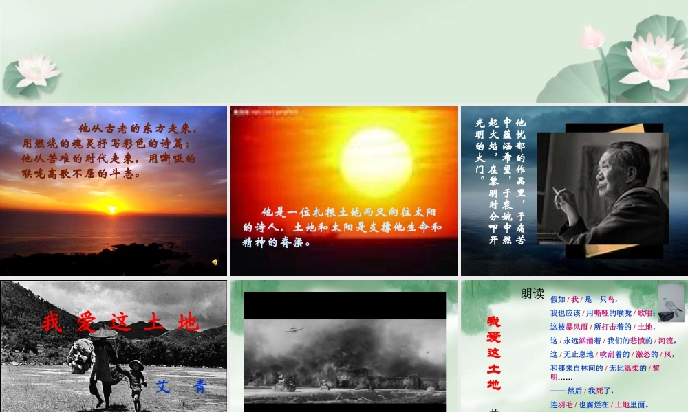 综合活动读书报告会