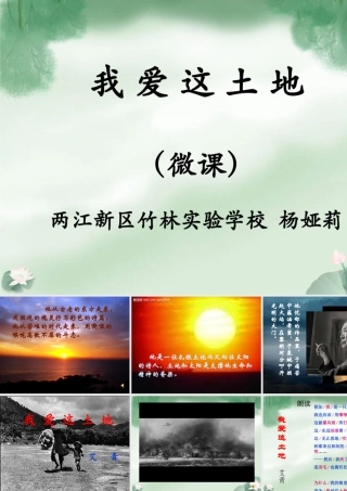 综合活动读书报告会