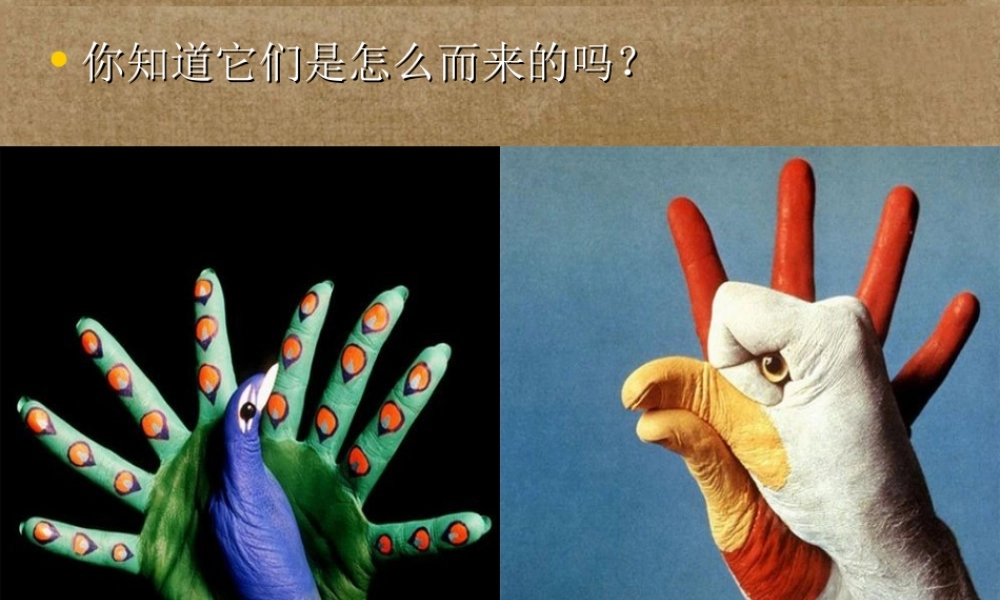 高中语文(打开思维的天窗以 手 话作文)课件 新人教版 课件