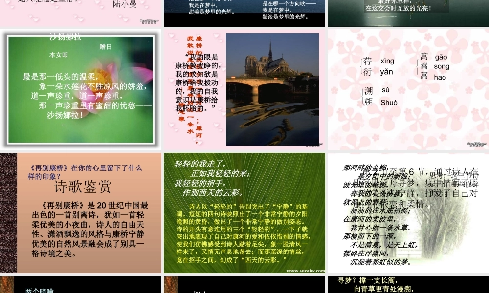 语文版初三语文再别康桥 徐志摩 课件