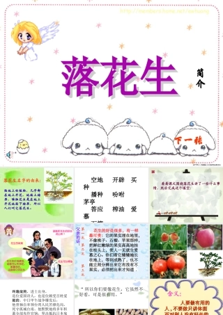 《落花生》ppt课件4