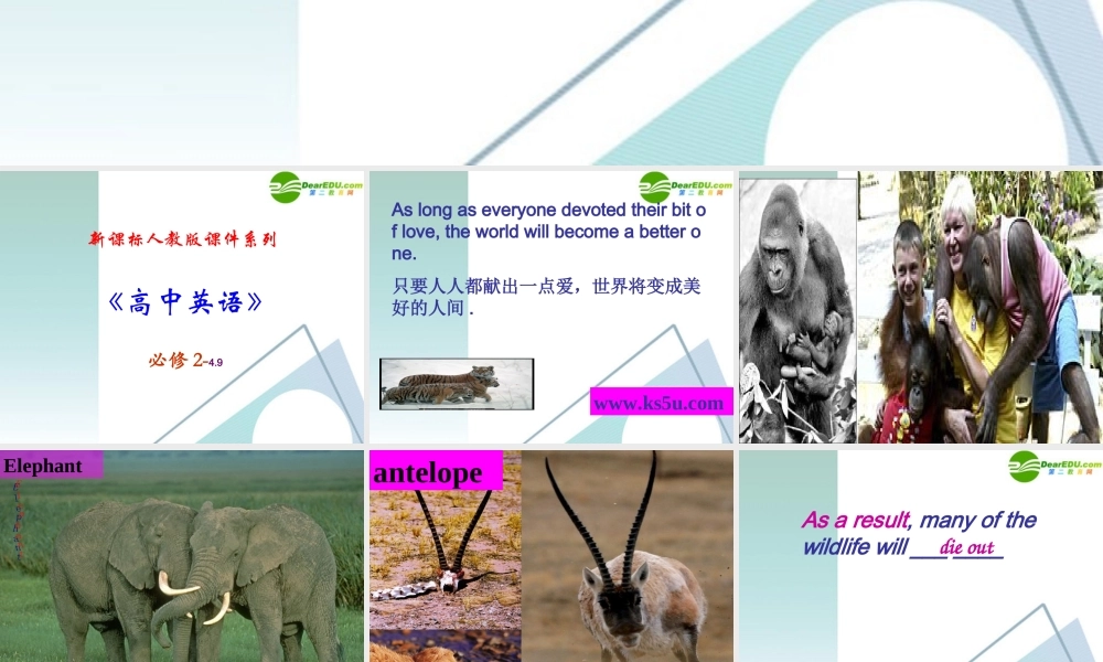 高中英语 49(Unit4 wildlife reading精品课件)课件 新人教版必修2 课件