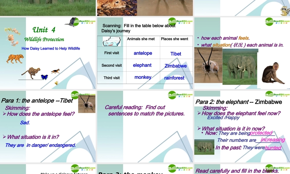 高中英语 49(Unit4 wildlife reading精品课件)课件 新人教版必修2 课件