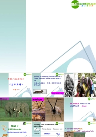 高中英语 49(Unit4 wildlife reading精品课件)课件 新人教版必修2 课件