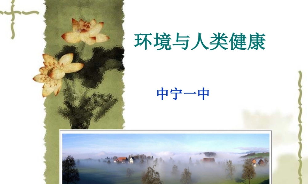 环境对健康的影响-(9)