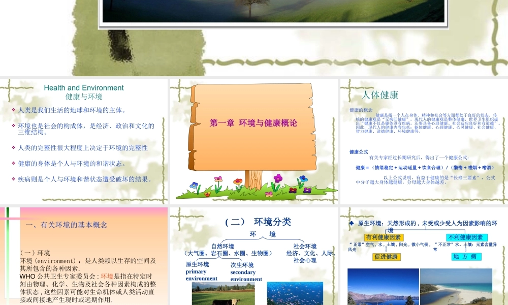 环境对健康的影响-(9)