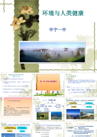 环境对健康的影响-(9)
