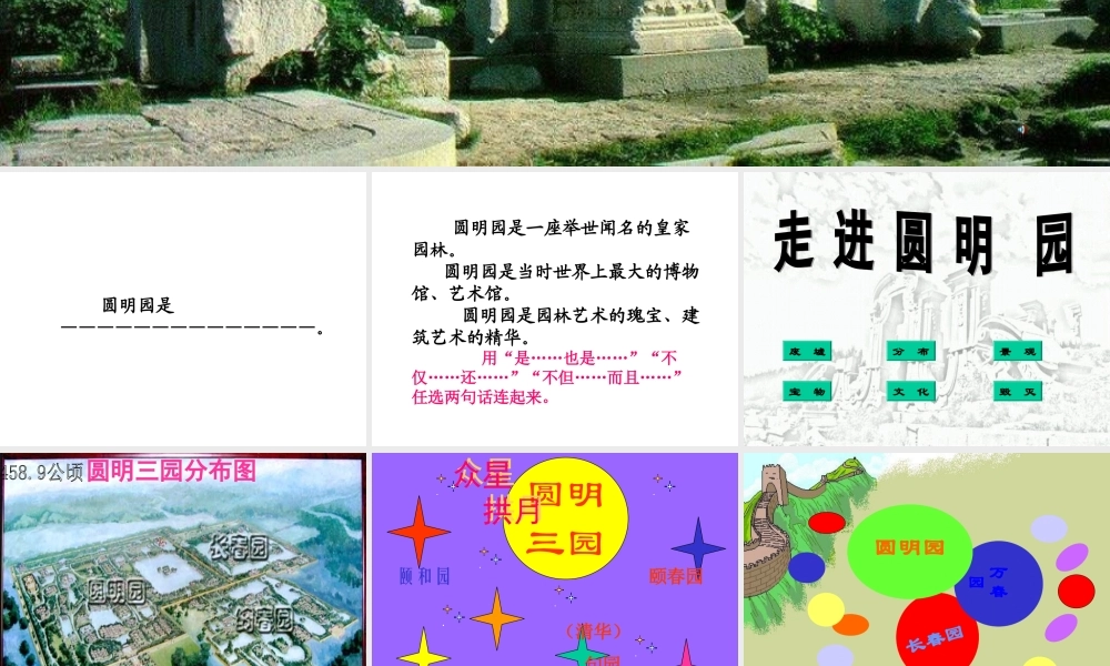 《圆明园的毁灭》ppt课件9(1).ppt王