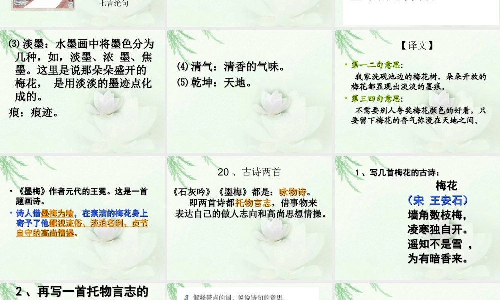 20《古诗两首—墨梅》课件